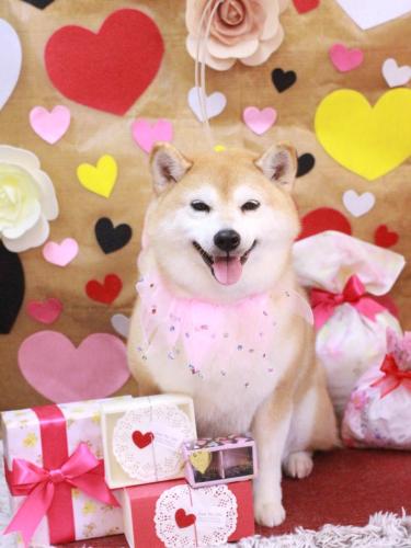 20230223初ちゃん